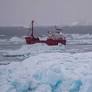 The president-elect will use military force to seize control of the Panama Canal and Greenland, the reason he is so interested in the world’s largest island